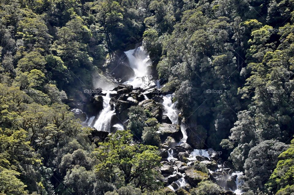Aerial view of forest waterfall
