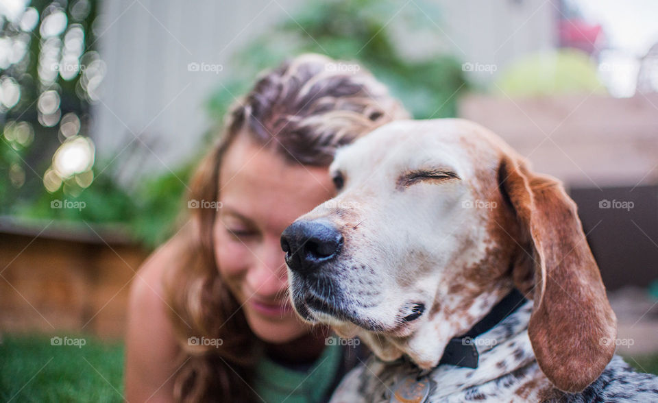 Portrait, Dog, Cute, Nature, Mammal