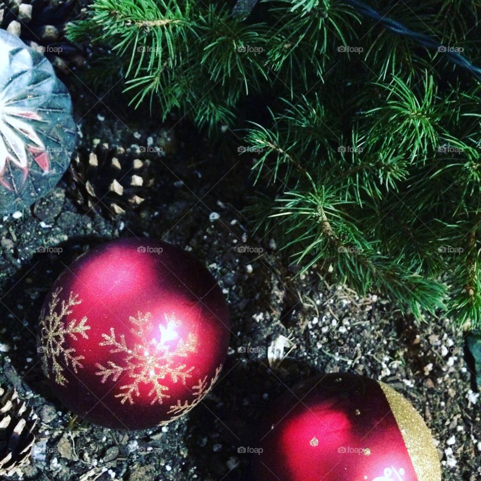 Pinecones, pine trees, Christmas ornaments, at the Hyatt Regency Hotel in Rochester New York