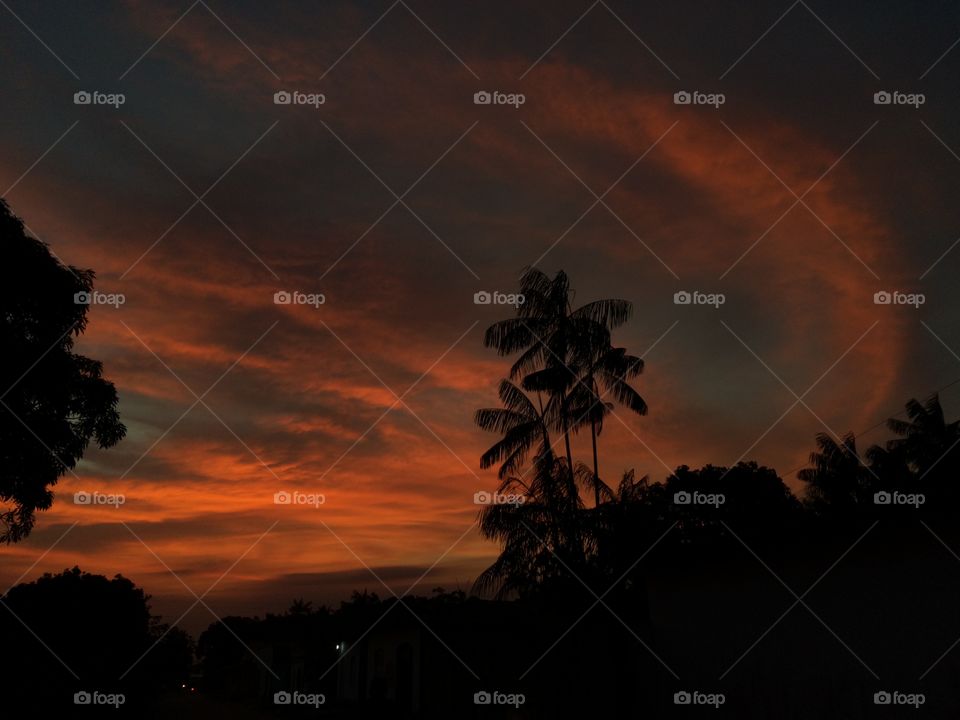 Silhouette of palm trees against dramatic sky