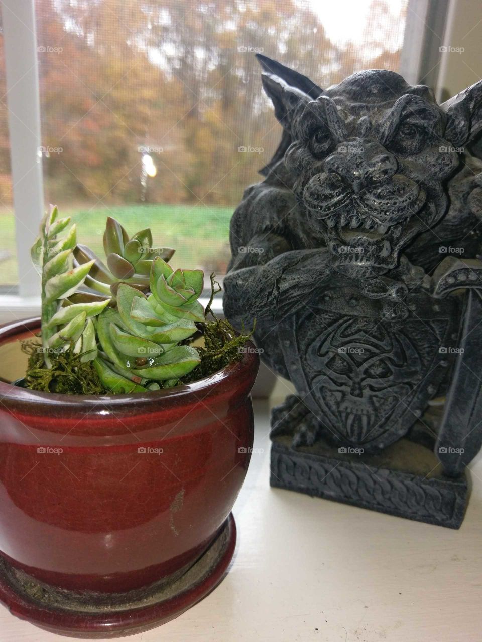 Gargoyle and succulent