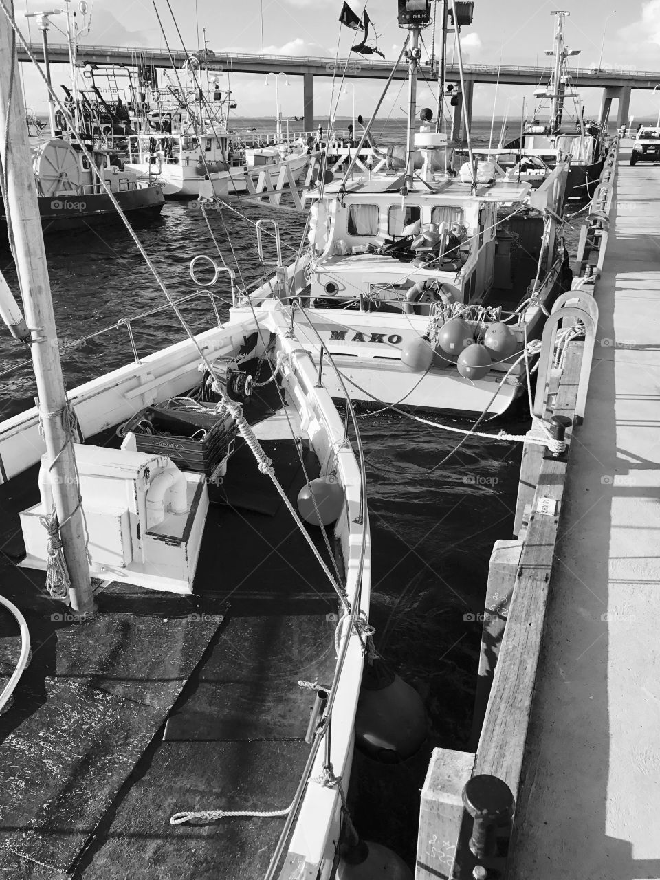 Fishing boats moored at the San Remo Jetty 