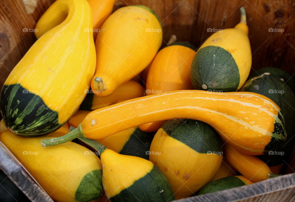 Squash at local farmer's market.