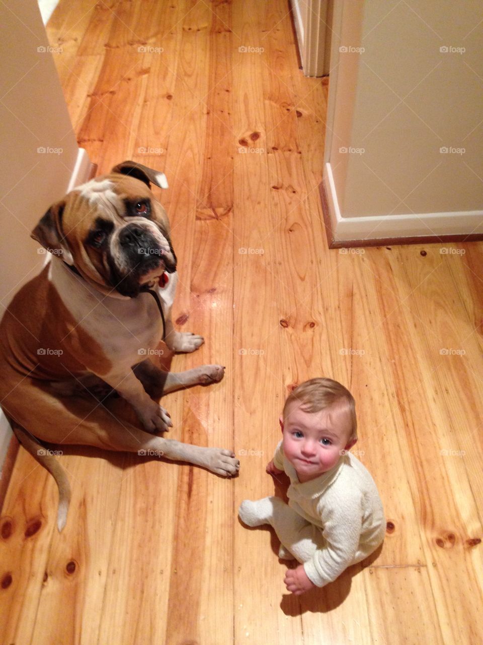 High angle view of cute baby with his pet dog