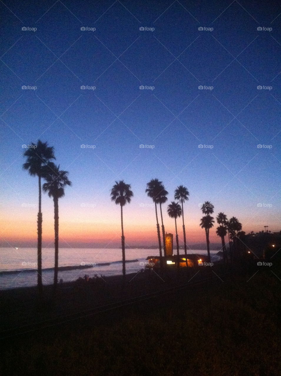 Palm Tree Sunset. Sunset on Palm tree lined beach