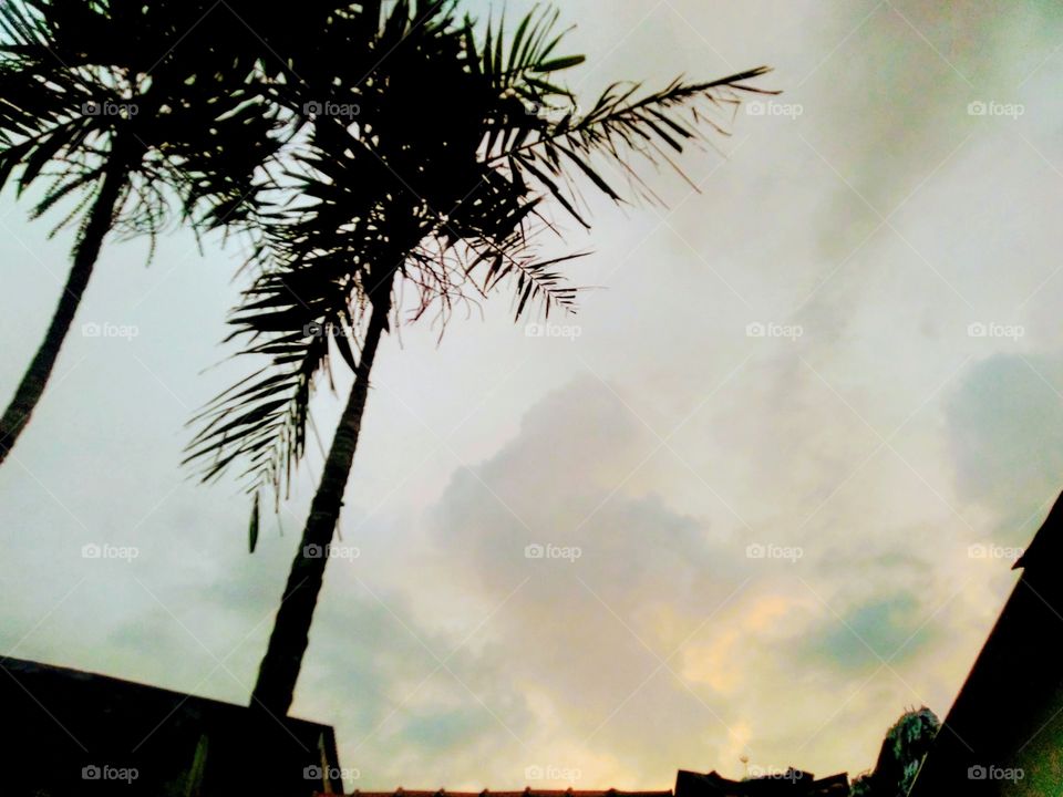 The atmosphere of the afternoon sky before it rains.