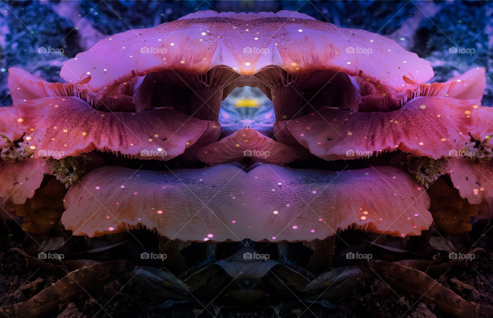 A distant galaxy, deep into universe, laid out on mirrored mushrooms