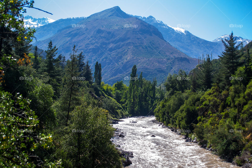 Stream flowing through forest and mountain