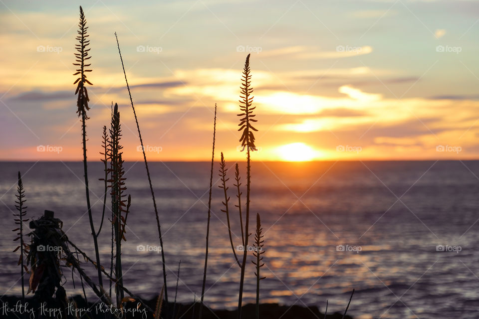 Sunset, Dawn, Sun, Water, Nature
