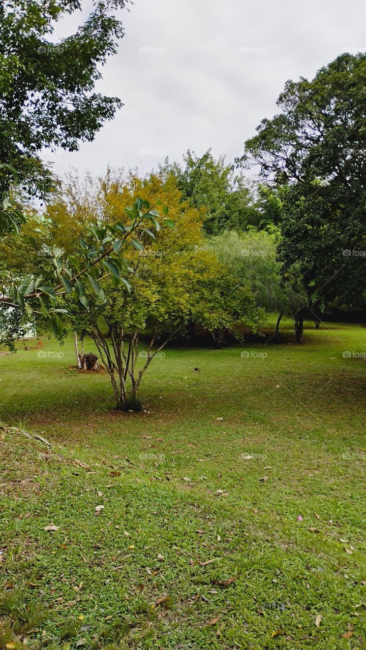 A beleza dos campos. Além da beleza visual da Primavera, também pode trazer benefícios para a saúde, como o aumento da exposição à luz solar e a possibilidade de atividades ao ar livre.