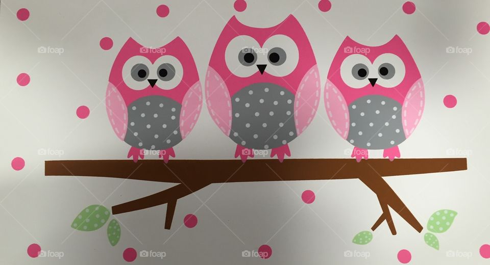Colorful owls with branch on white background