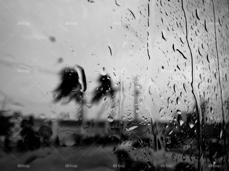 View of a storm behind a window with raindrops falling over it, while palm trees moving by the storm wind.