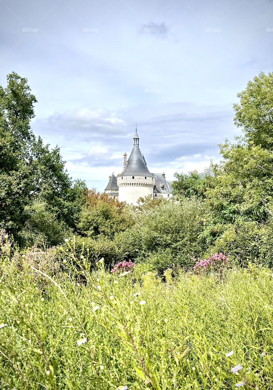 Chaumont sur Loire , jardin Septembre 2023 . 