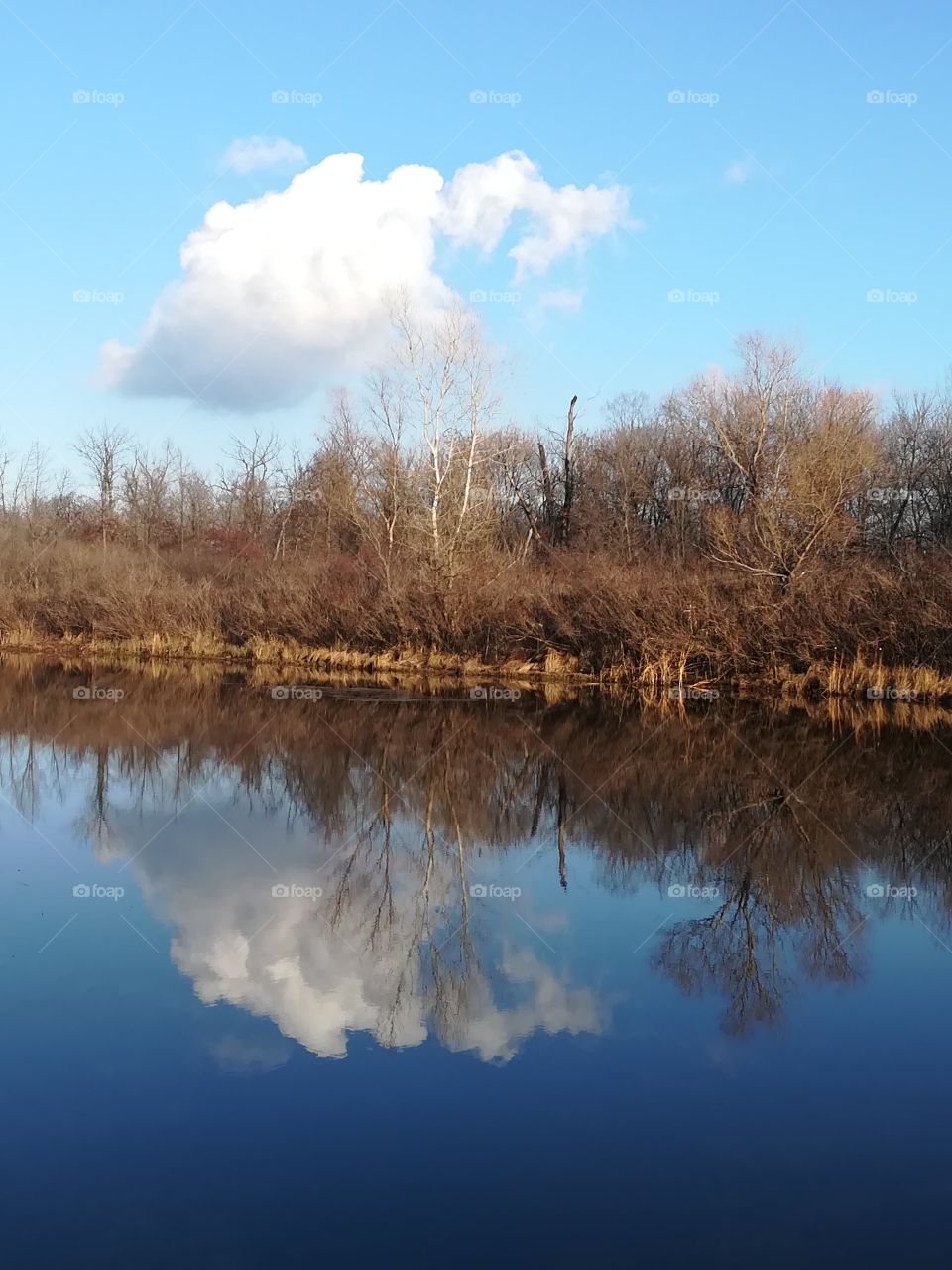 Clouuds in the water