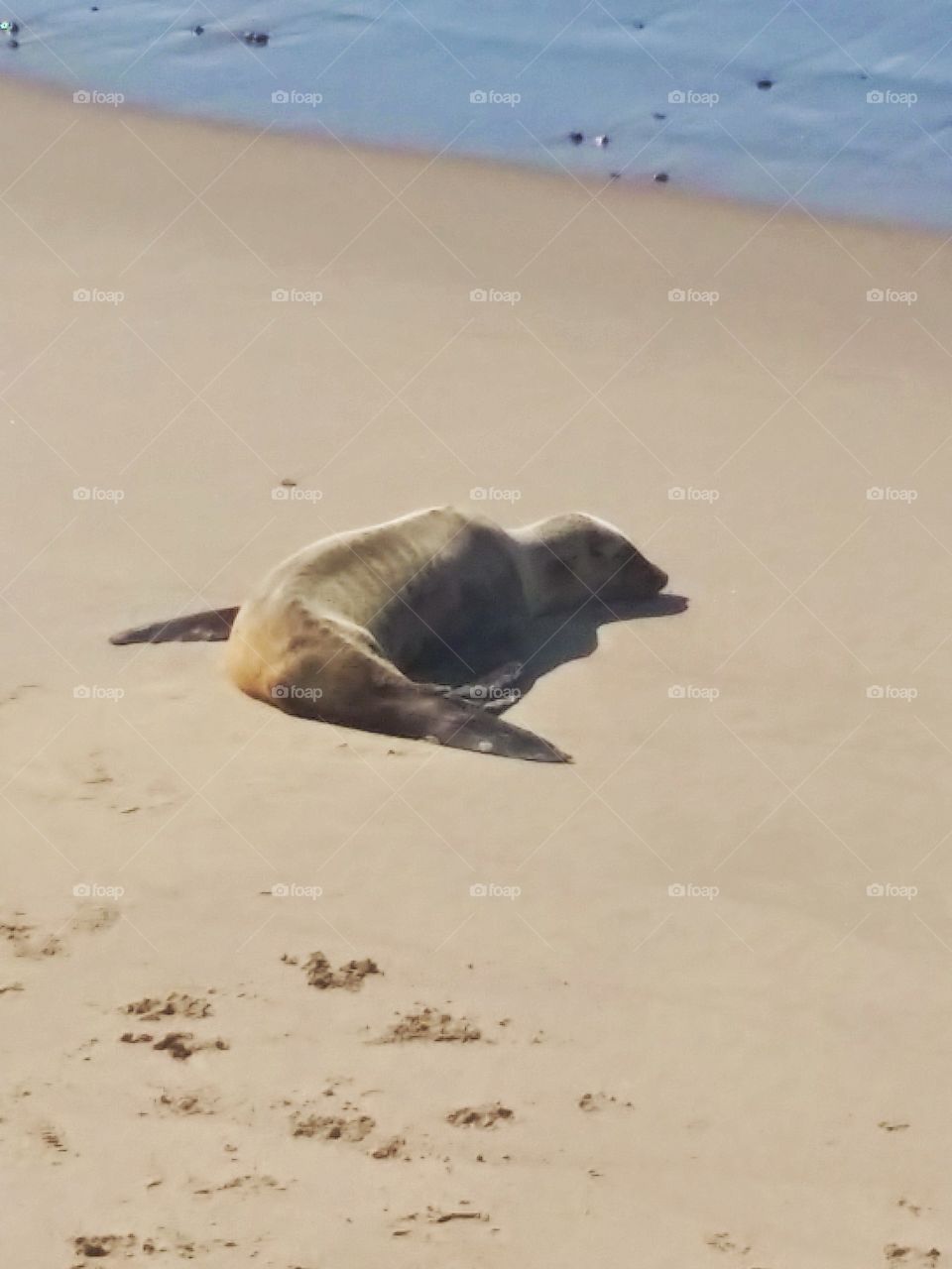 R&R. This guy came out to sunbathe..