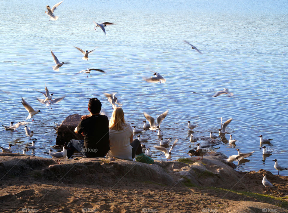 Feeding seagulls by Sognsvann in Oslo, Norway 