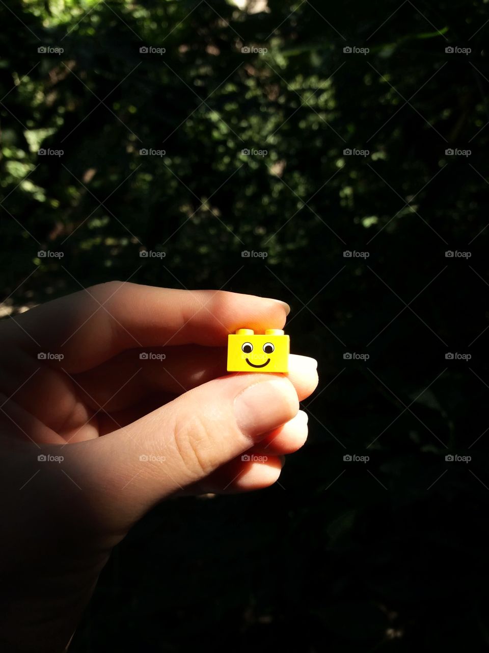 lego smile