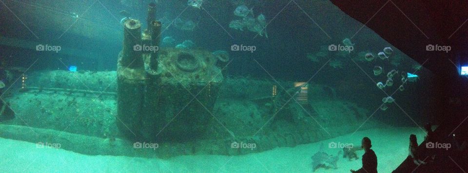 Sunken U-Boat Reef