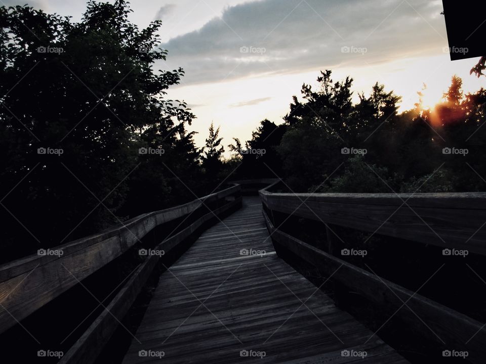 New York, Long Island, Fire Island, Nature, tree, plants, outdoors, calm, relax, shades, colors, Clouds, sky, path, view, sunset, architecture, 