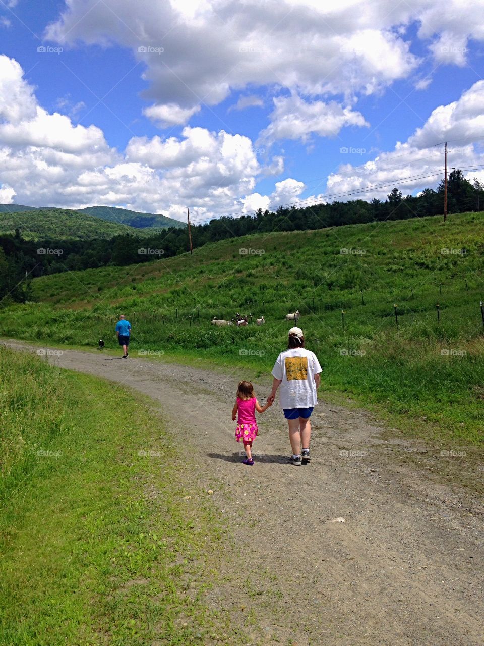 Out for a walk in rural Vermont - minimalistic snaps mission