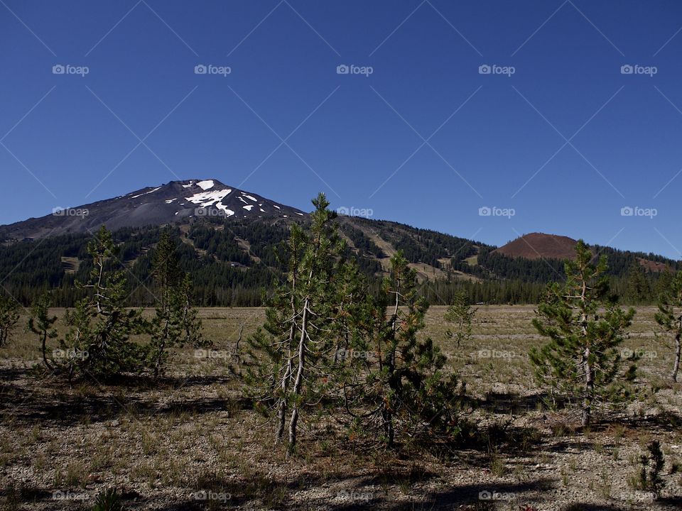 The mountains and forests of Oregon on a sunny fall day. 