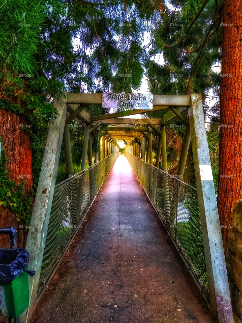 Bridge over the River Severn, Arley