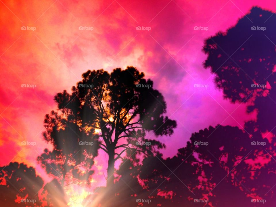 Multicolored sunset