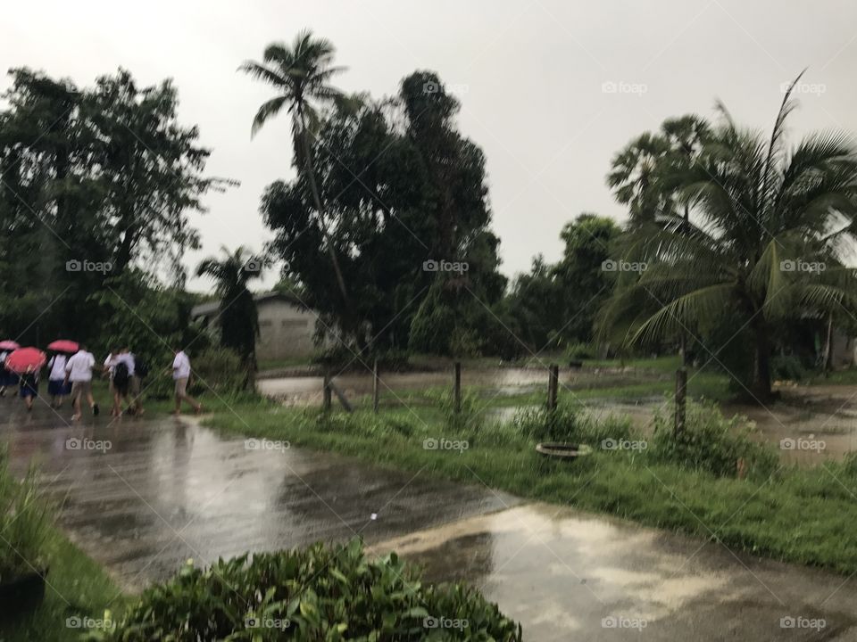 Water flood in Thailand 