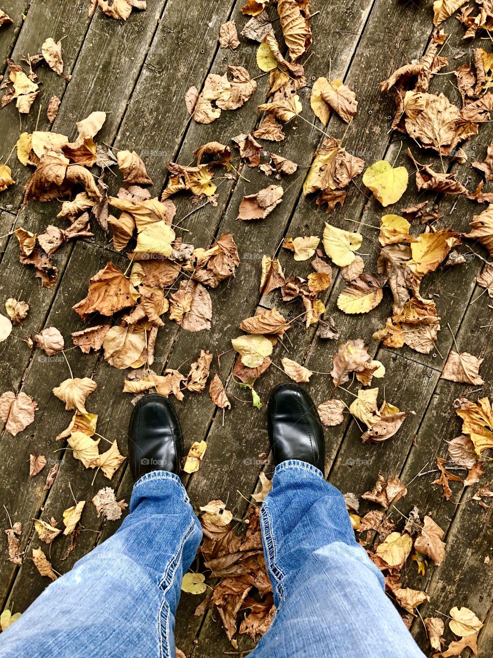 Standing in leaves