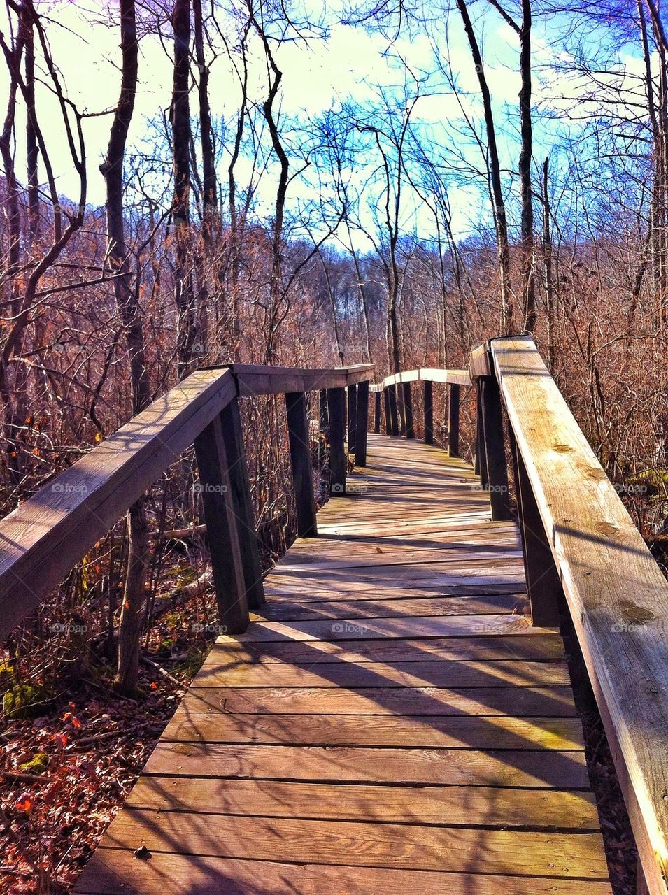 Dinosaur State Park, CT