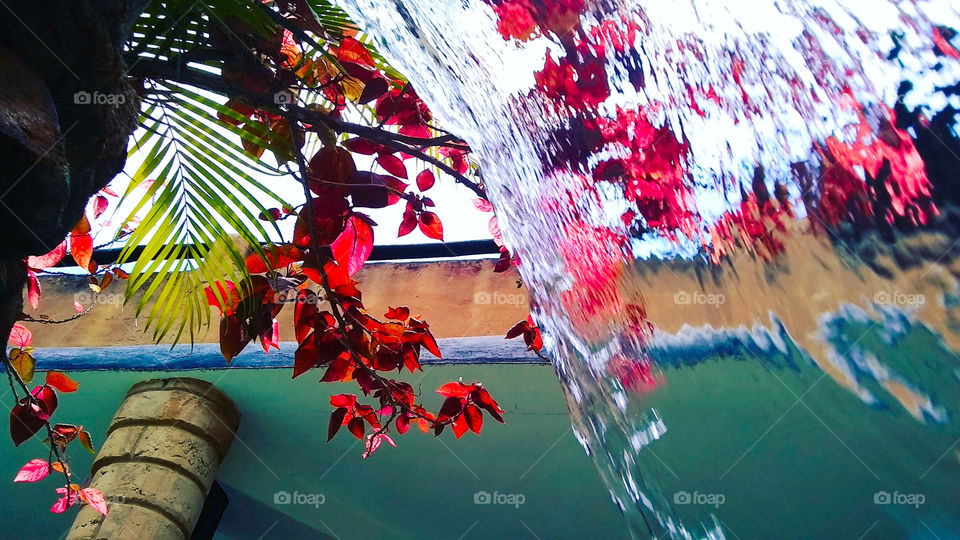 Naturaleza atrapada en cascada