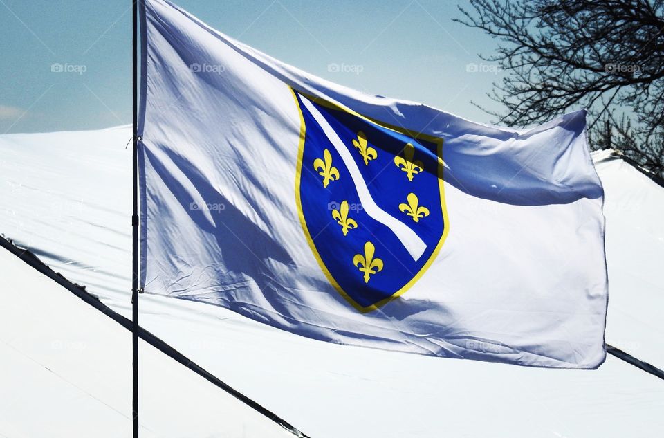 Bosnian Flag