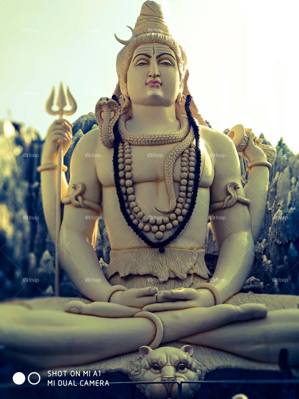 Shiva the hindu God