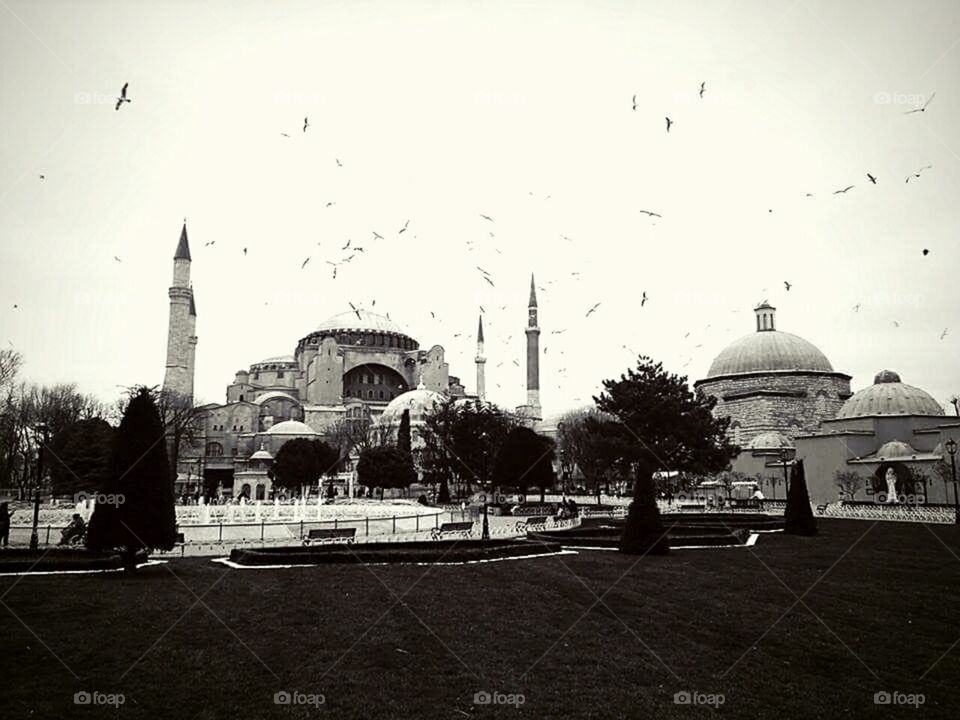 Istanbul, Hagia Sophia Mosque, cuptured by Saidjon, 2015.
