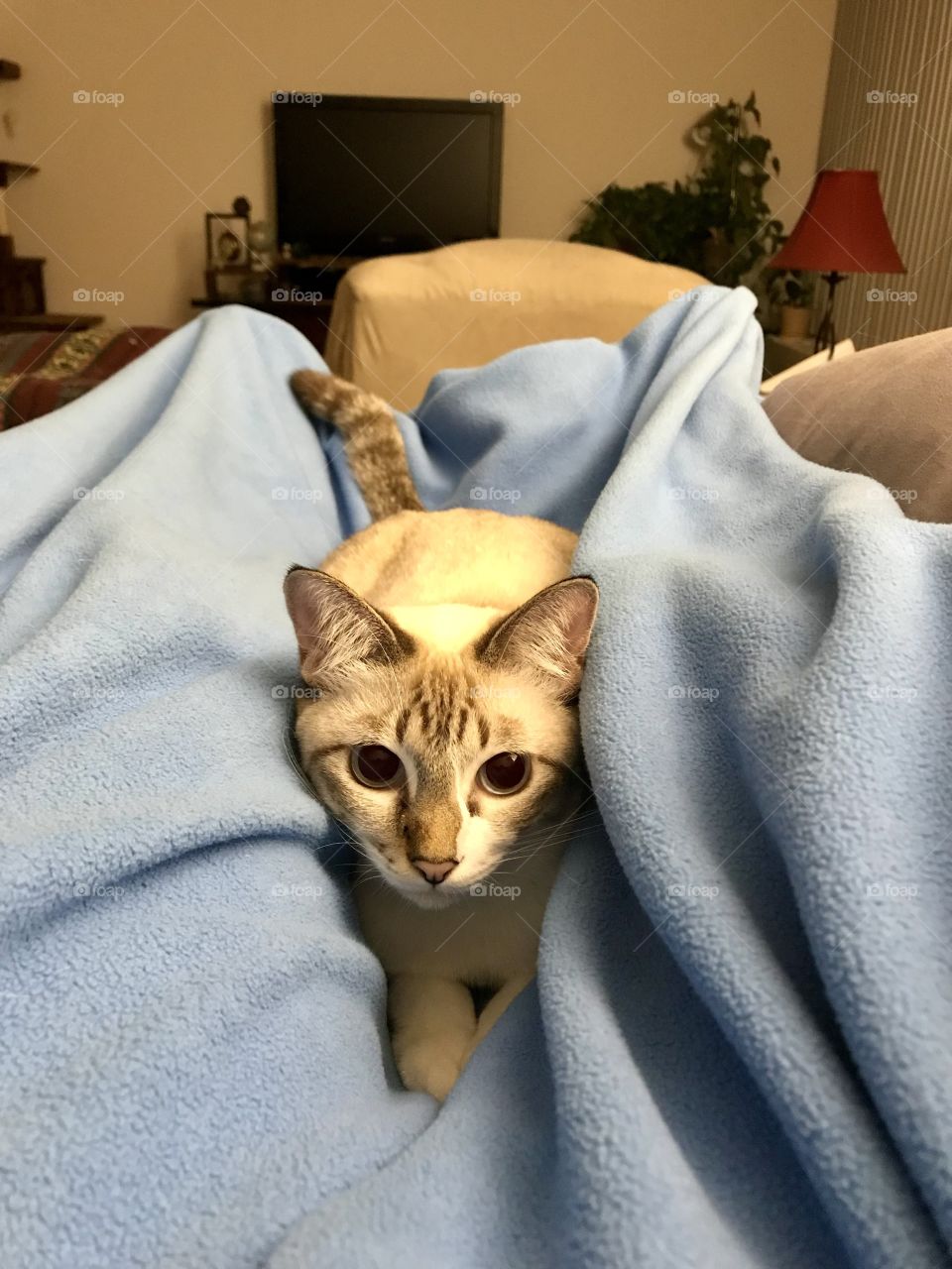 Winter is coming, spending time in a blanket with a little baby is keep me warm.