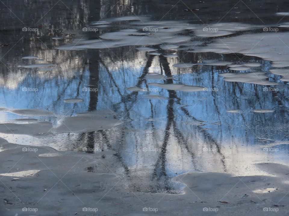 Reflection in frozen water