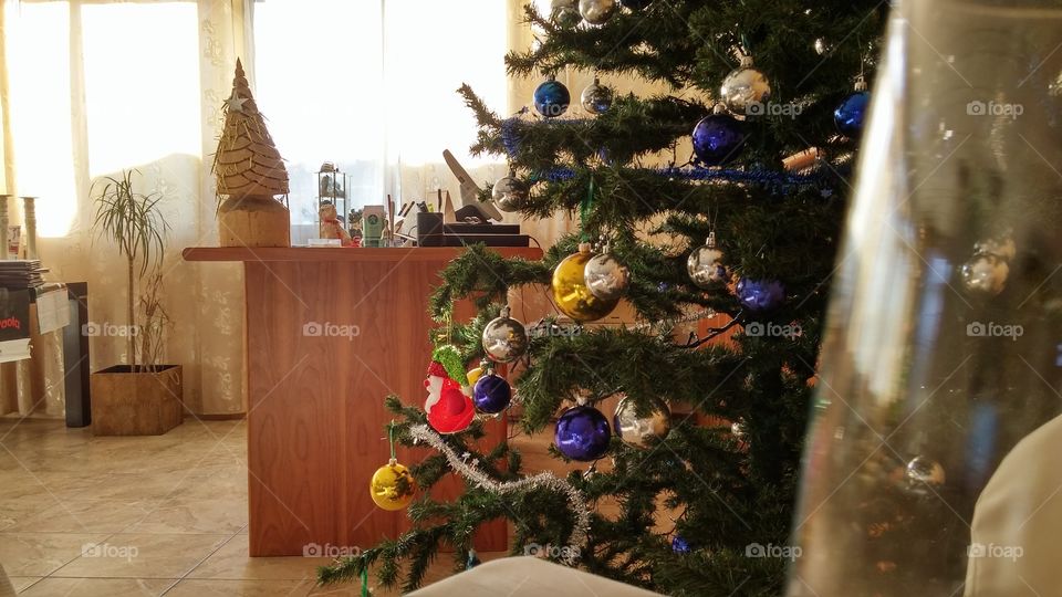 Christmas, Tree, Christmas Tree, Celebration, Decoration