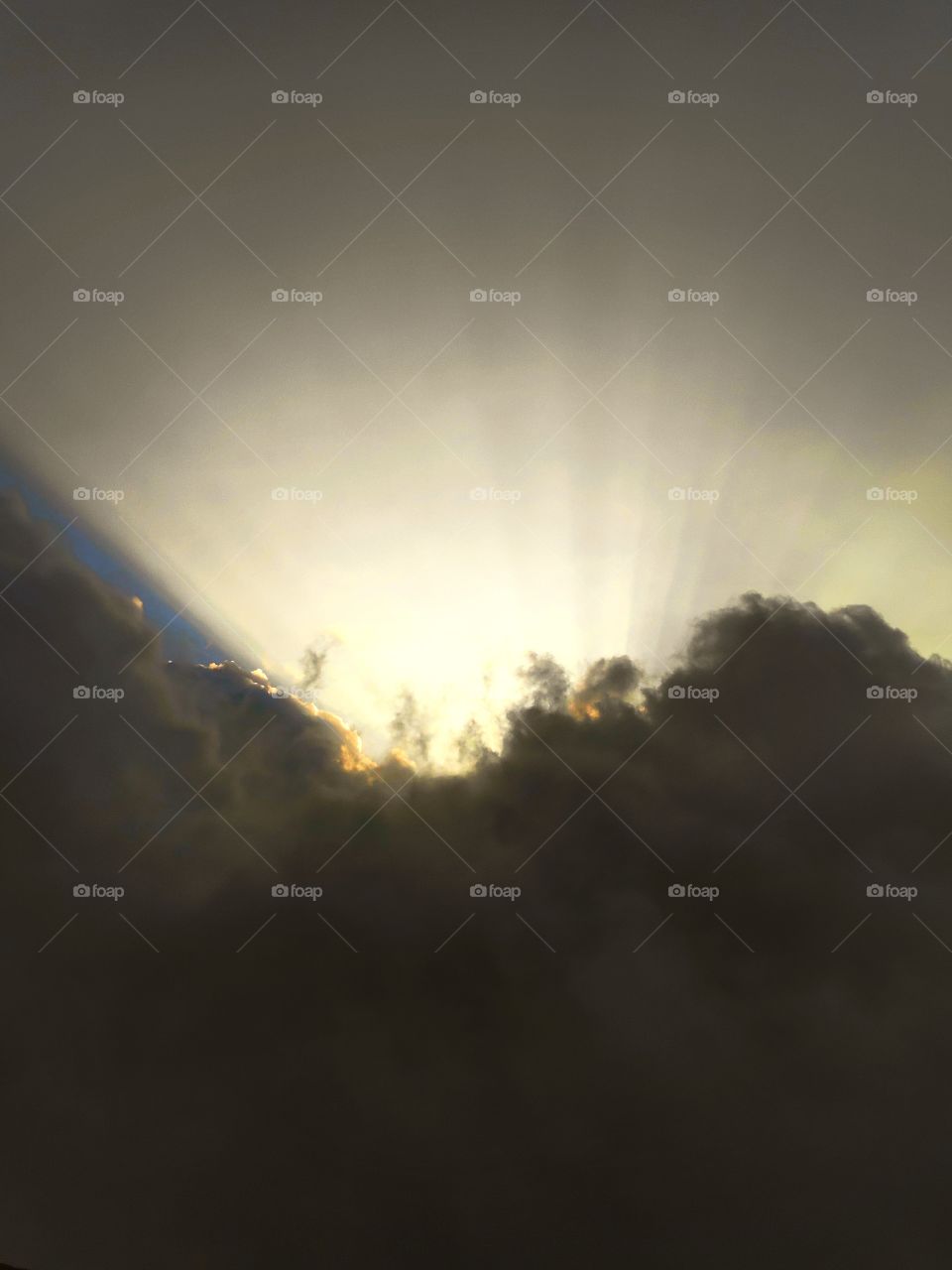 "Crepuscular" are rays of sunlight that appear to radiate from the point in the sky where the Sun is located, shining through openings in clouds or between other objects such as mountains."