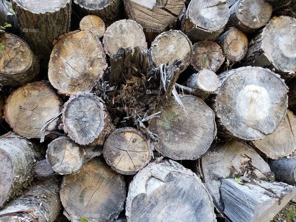 close up of firewood pile cut logs