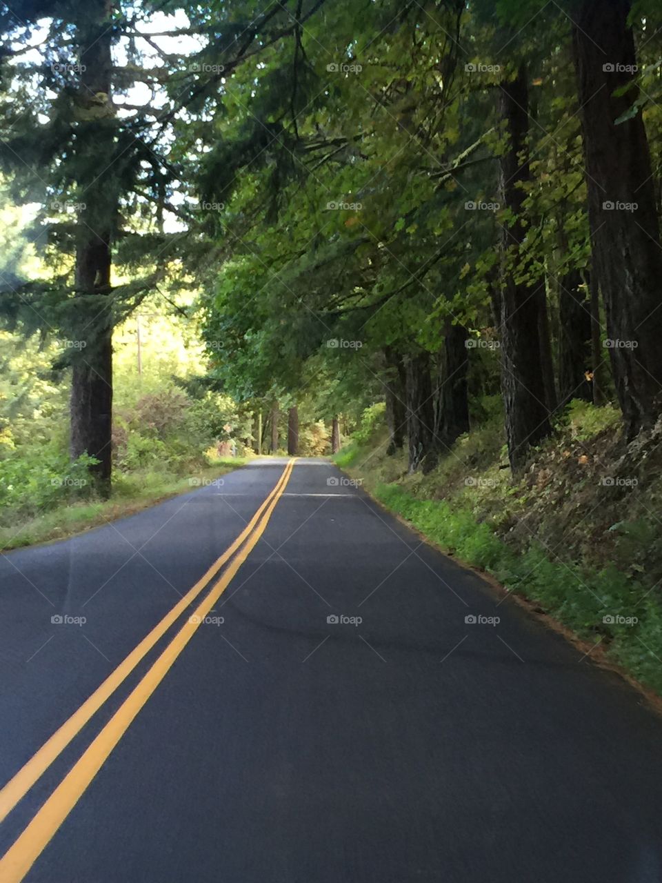Road along Columbia River, Oregon