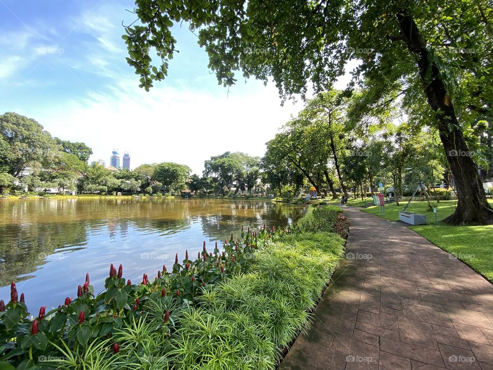 Situ Lembang Park, Central Jakarta, can be an alternative free tourist spot to visit.
Its strategic location is in the middle of Jakarta, making Situ Lembang Park quite easy to find