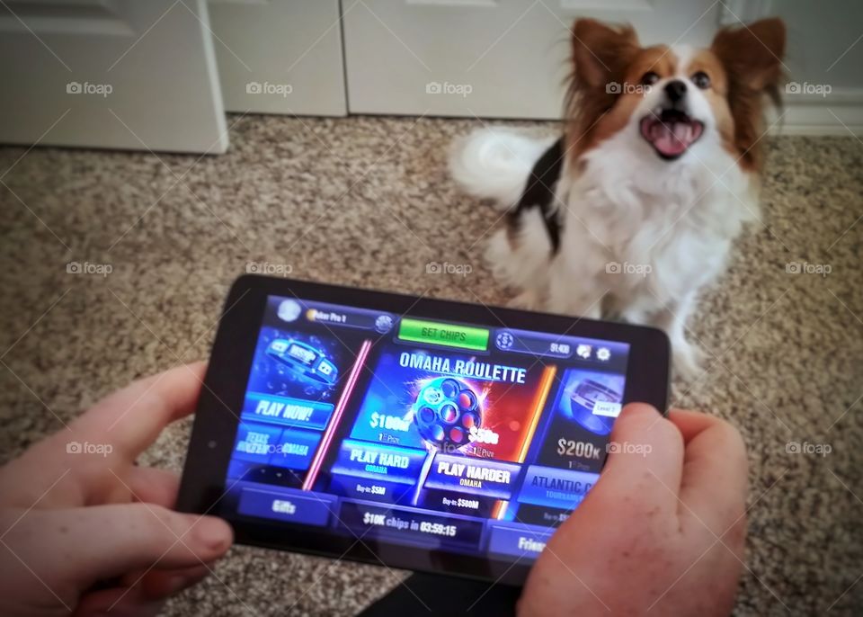 A man's hands holding an electronic notepad playing video game poker with a happy smiling dog