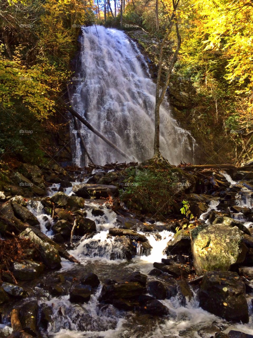 Yellow Autumn waterfall