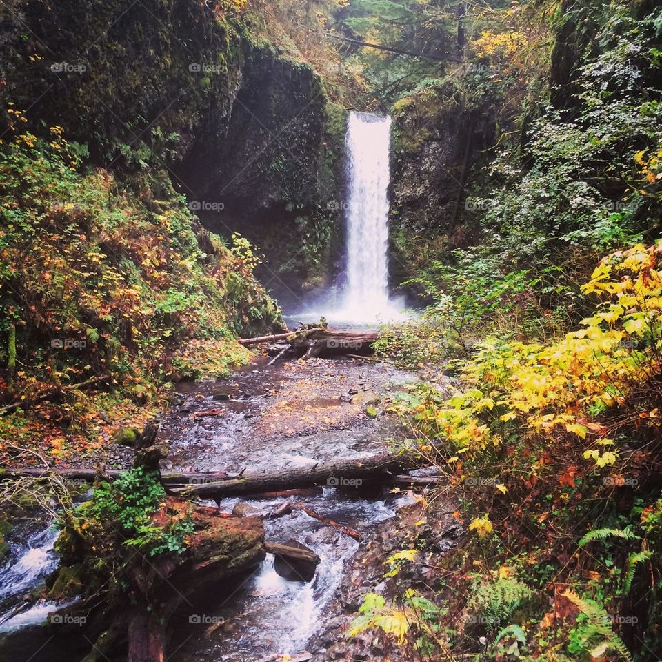 Scenic view of waterfall