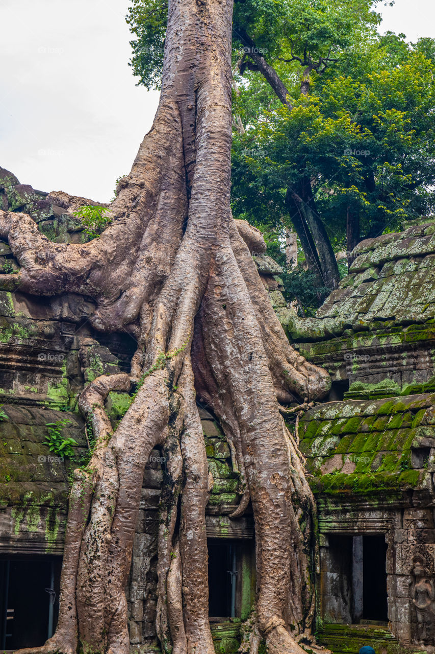Angkor Thom Cambodia Southeast Asia