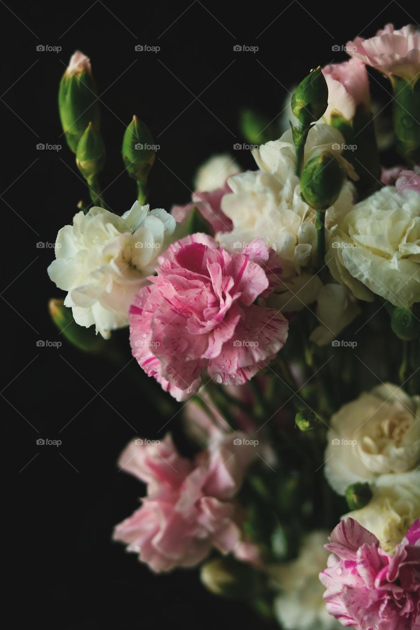 Pink Flowers