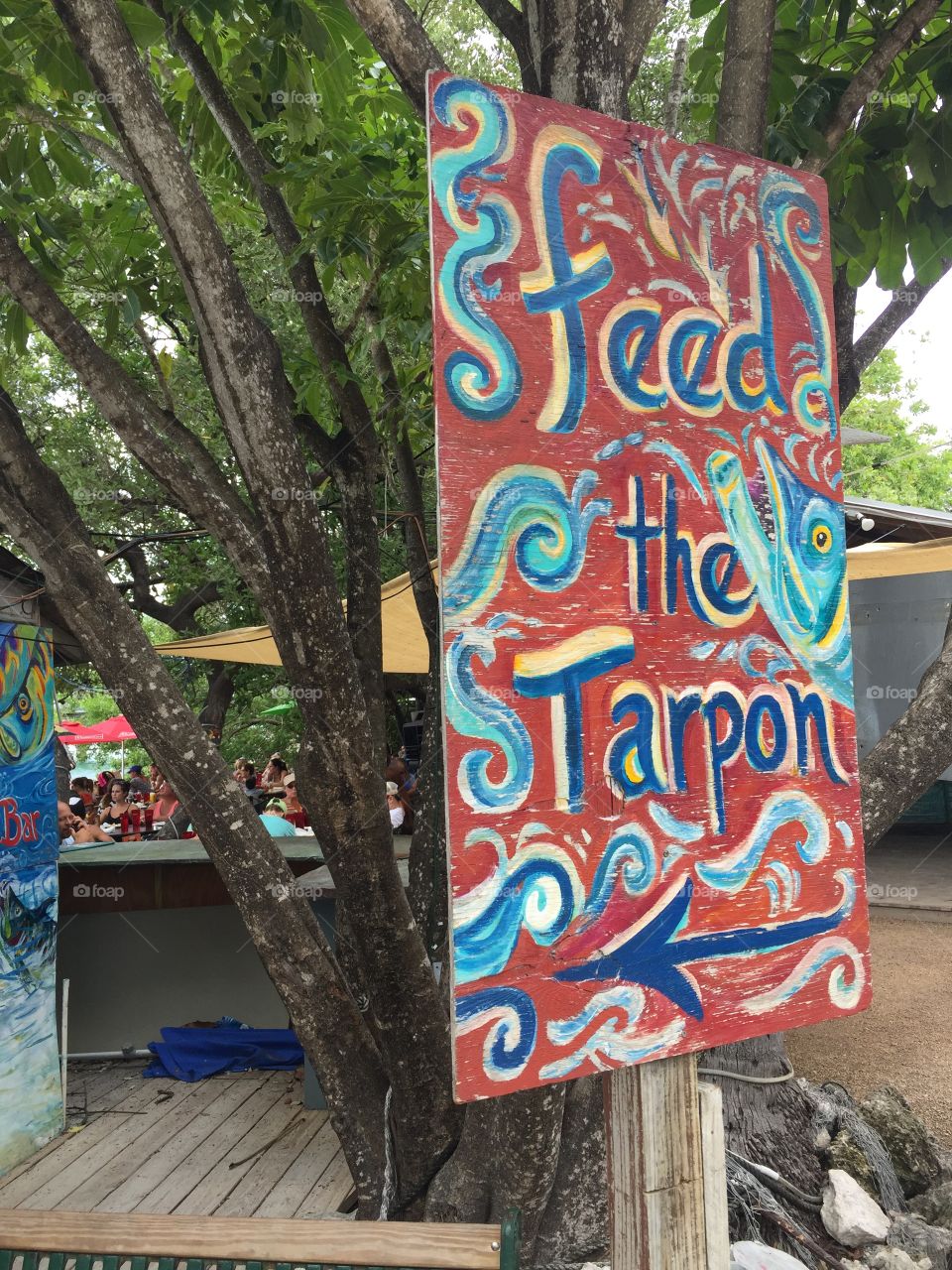 Tarpon Sign in the Trees