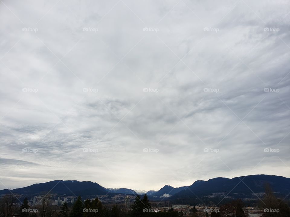 mustapha's horizon; if he was a mountain lion.🦁