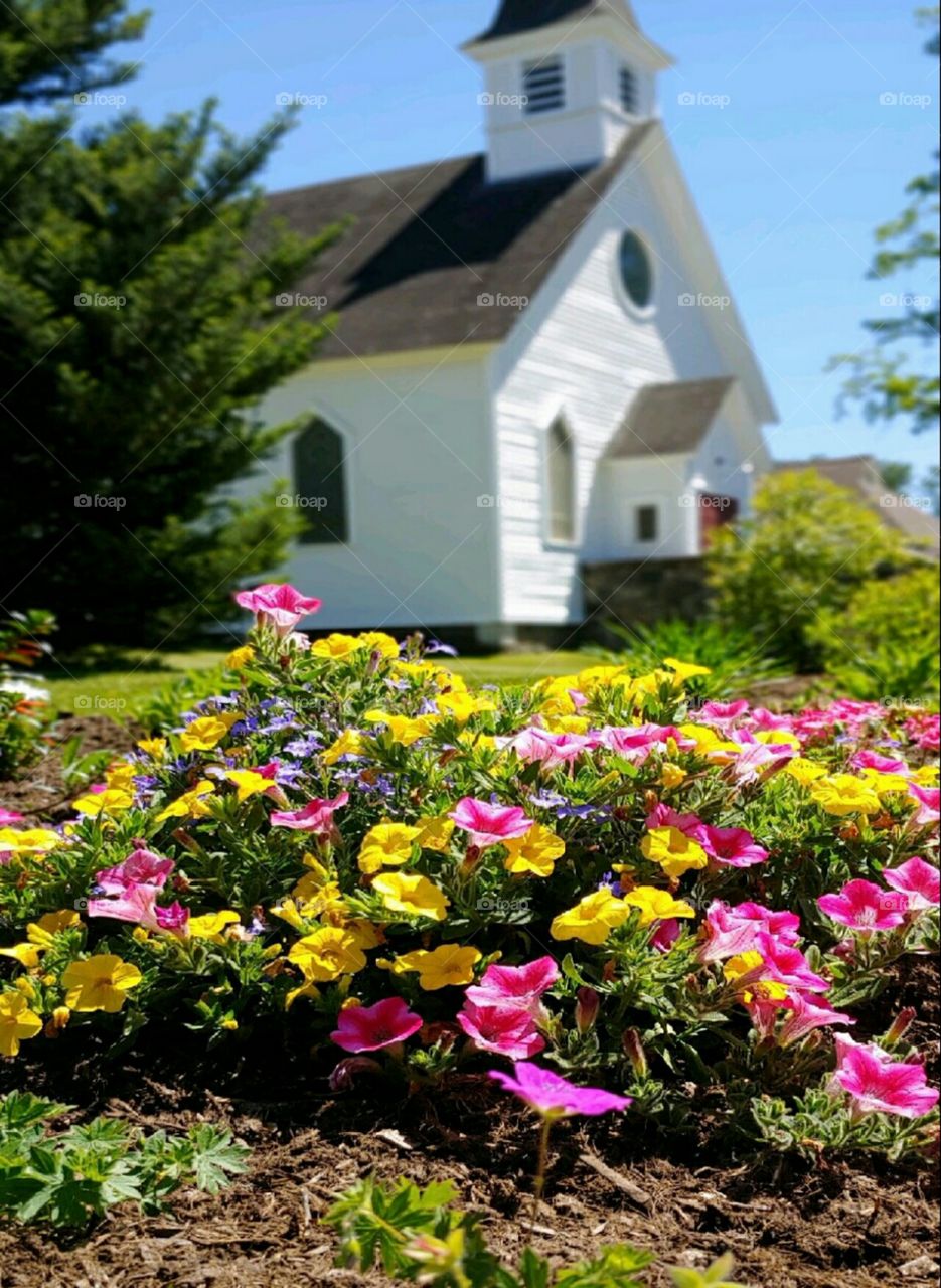 A Garden outside Church!