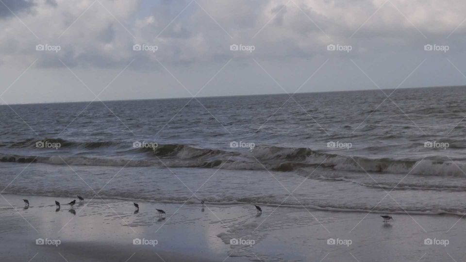 Seagulls in the reflective sand with waves in the background and a grey and light blue sky with clouds overhead.